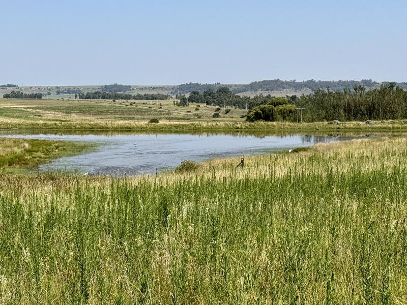 0 Bedroom Property for Sale in Bethlehem Rural Free State